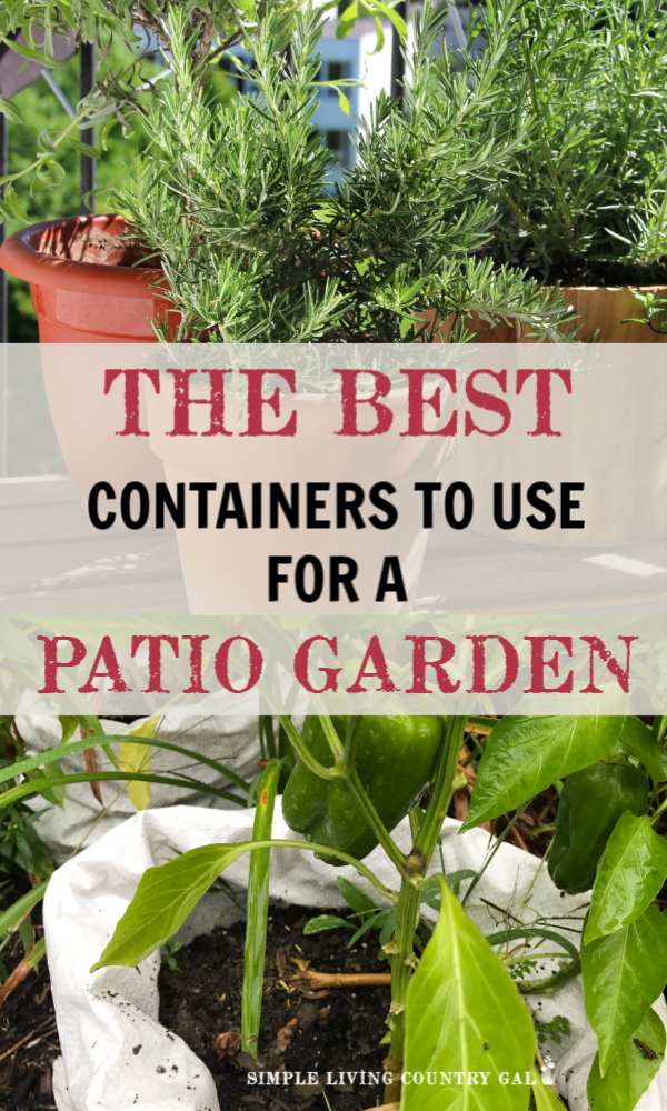 Have you ever grown a vegetable garden on your porch or patio? It is so much easier than you think. No, you do not need a large garden in your yard to enjoy produce this summer, just a few seeds and plants and a bit of imagination will turn just about any container into a patio vegetable garden this summer for your home. #patiogarden #vegetablegardencontainers #citygarden