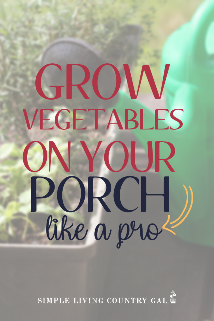 https://simplelivingcountrygal.com/wp-content/uploads/2019/07/Patio_Garden-683x1024.png