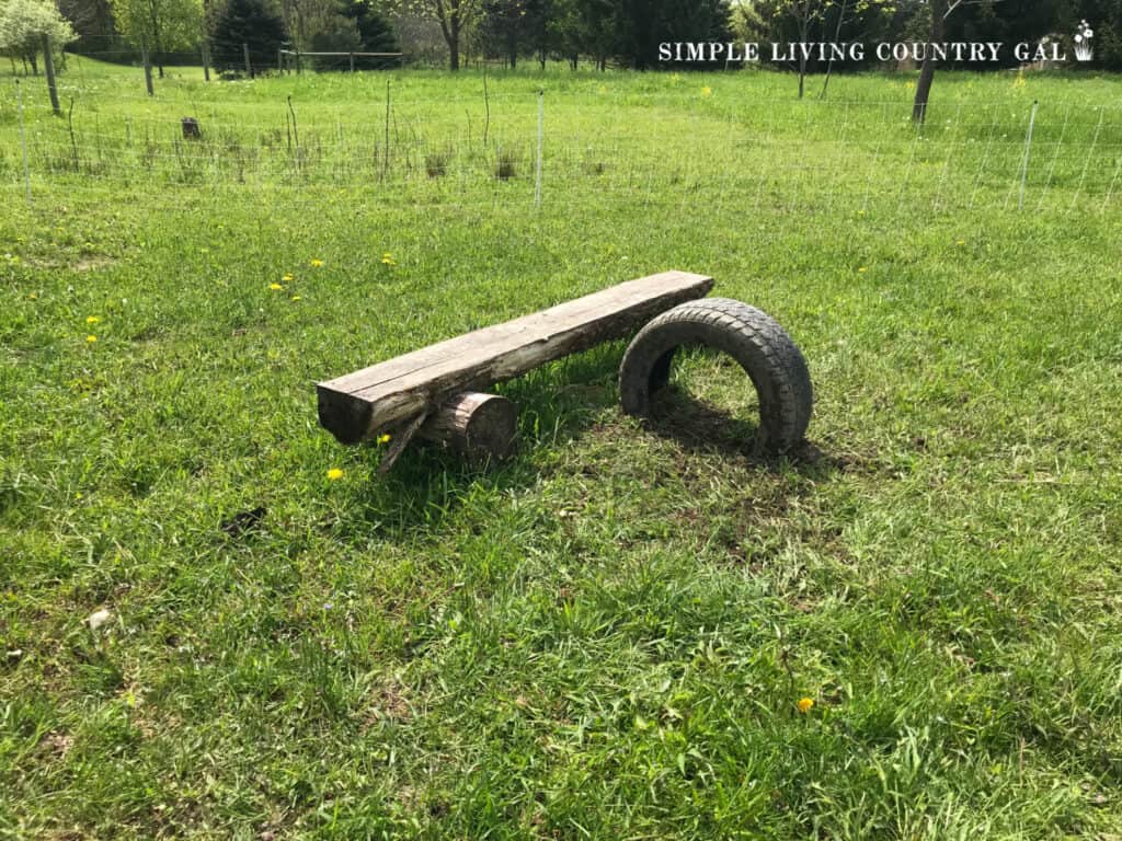 a wooden bench and a tire in the ground