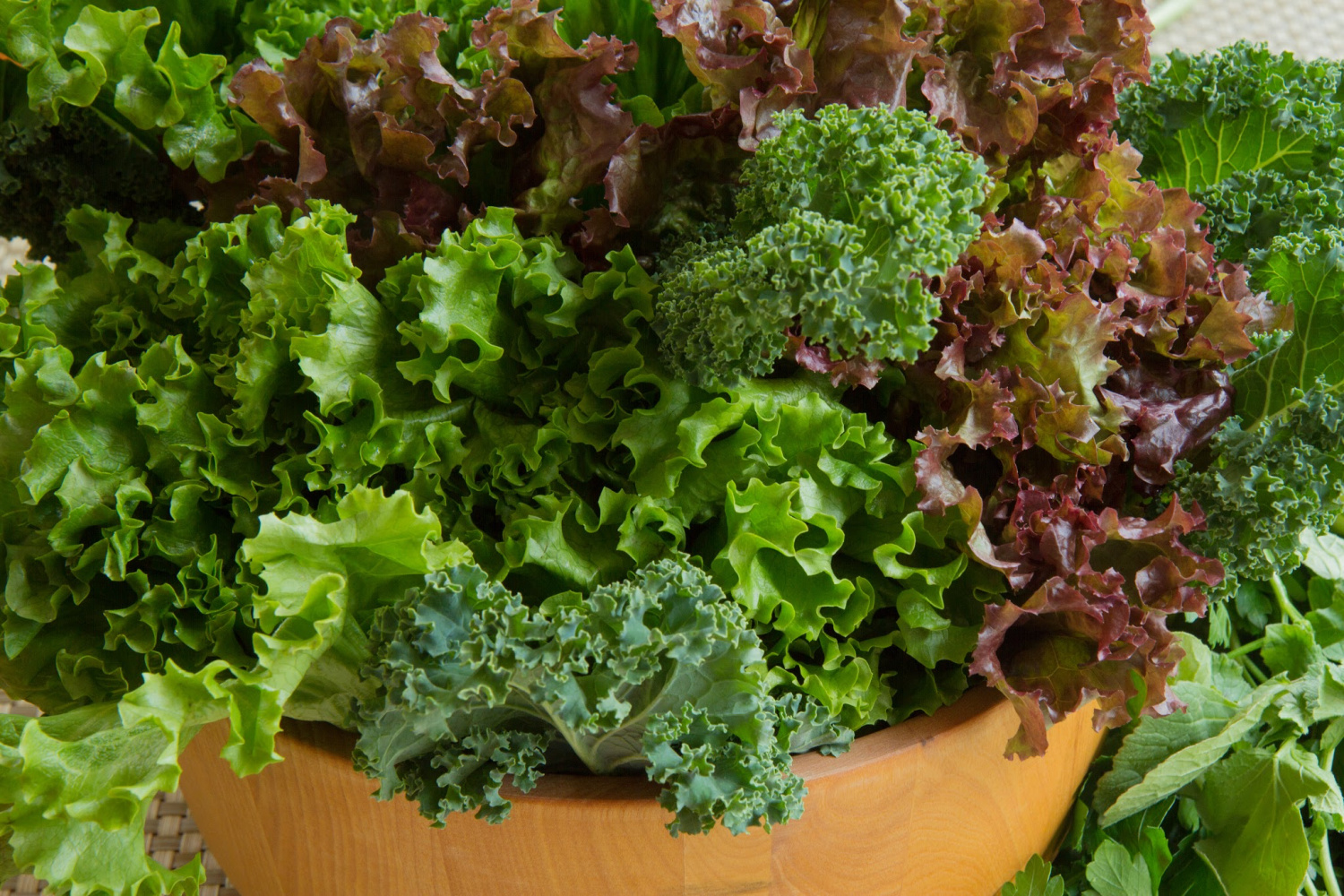 Grow a salad garden in a planter to enjoy veggies on your back porch