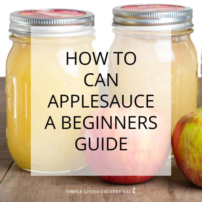 How to Can Applesauce for Beginners