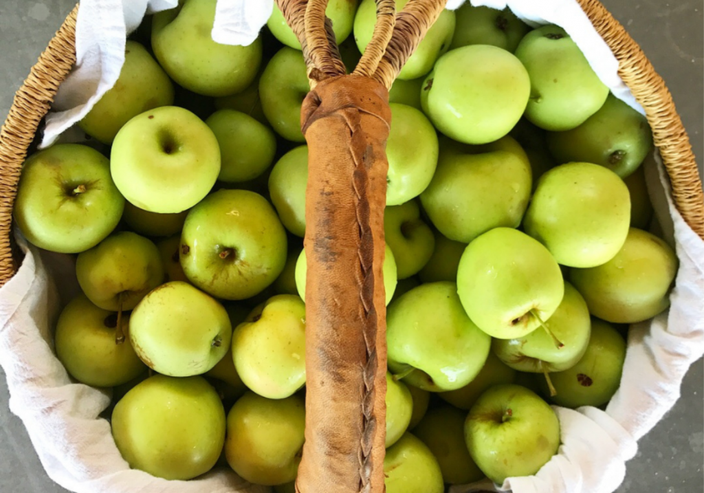 A basket of fresh-picked apples that even beginners can turn into wonderful fresh canned applesauce. 