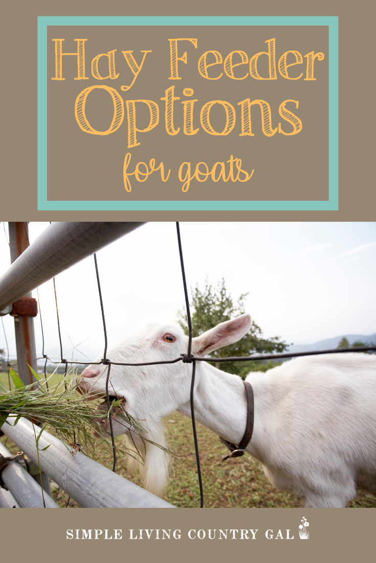 Goat Hay Feeders