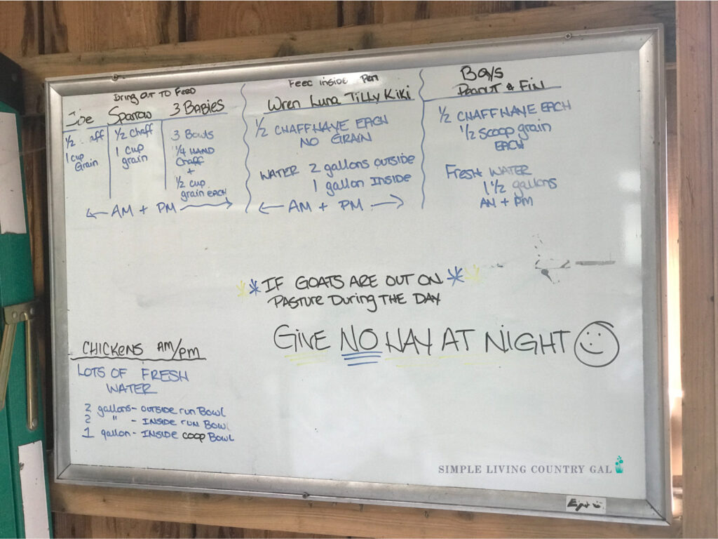 livestock feeding board schedule