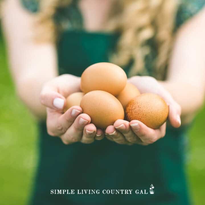 Do Eggs Freeze Outside: Essential Facts You Need to Know