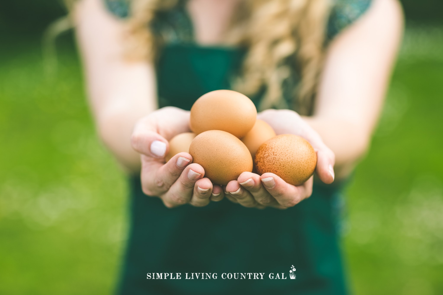 woman holding a pile of farm fresh chicken eggs