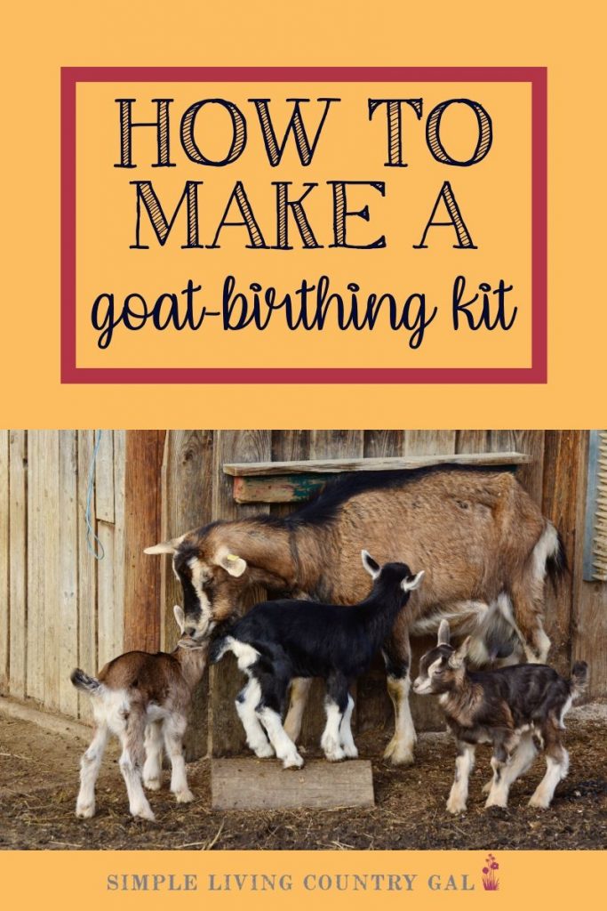 goat birthing kit