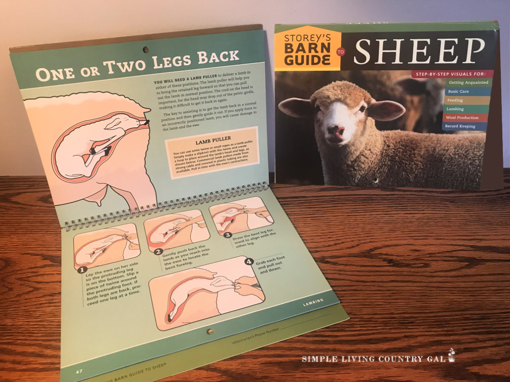  A book on SHEEP sitting on a table 