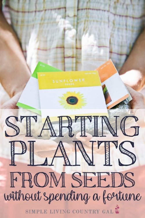 Starting Tomato Plants From Seed | Simple Living Country Gal