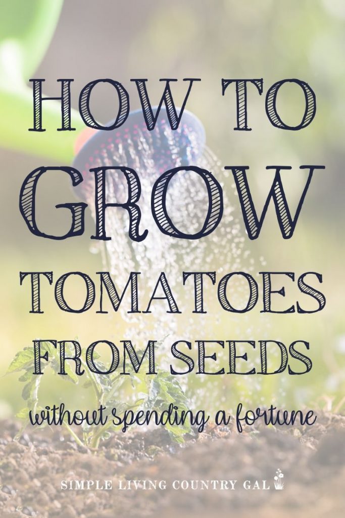 Be sure your plants have the best organic start they can, start those seeds at home! Learn how to start beautiful tomato plants from a packet of seeds in your home and the best way to prepare them for your summer garden. #gardening #garden #gardeningforbeginners #homestead