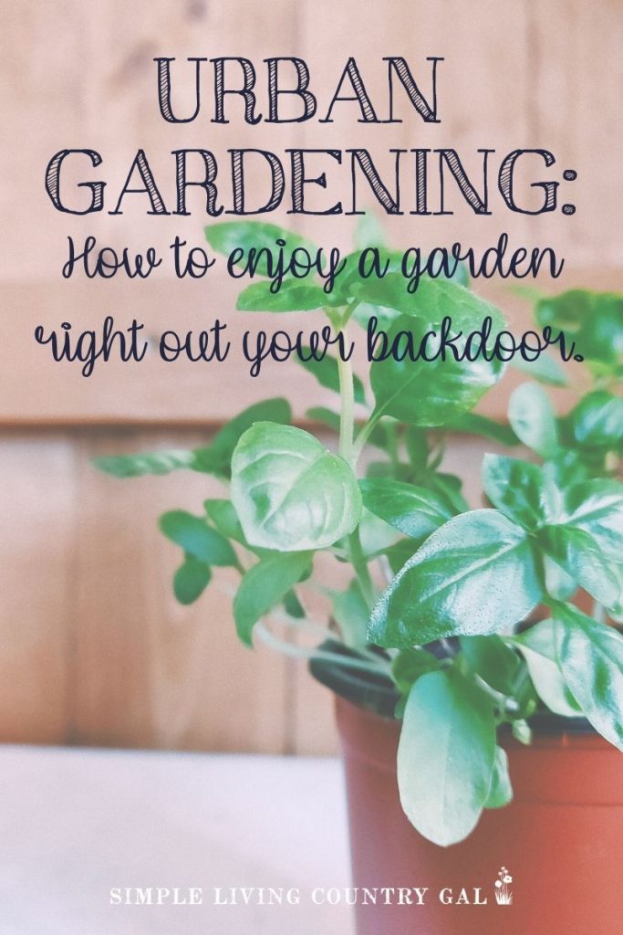 Enjoy a Vegetable Container Garden