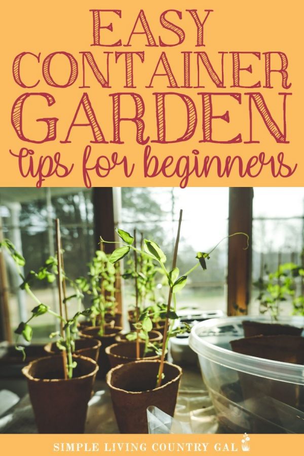 Easy Container Garden Tips For Beginners | Simple Living Country Gal