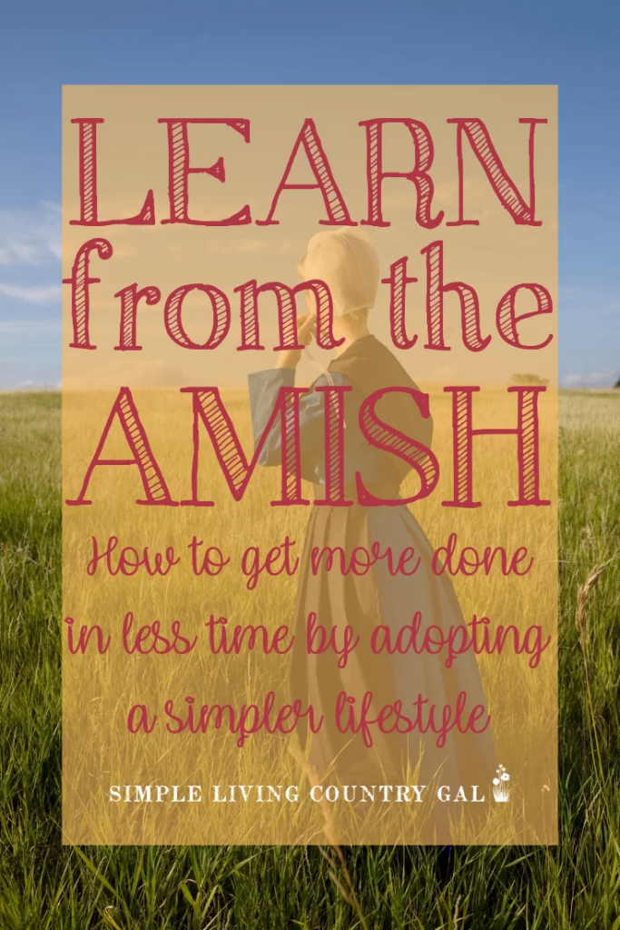 lessons learned from an Amish visit