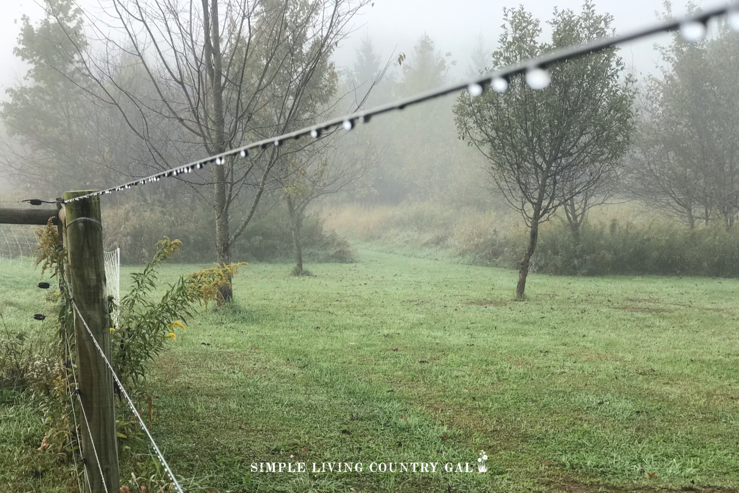 raindrops on a fence living a simple life