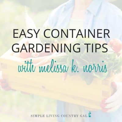 If you want to have a full vegetable garden right outside your door then these easy container gardening tips will help. Not all containers are created equal and not all vegetables follow the same rules when growing them in a container. These tips will allow you to have a full vegetable patio garden no matter where live. Urban gardens for everyone! #containergardening #familygardenplan #urgangardening