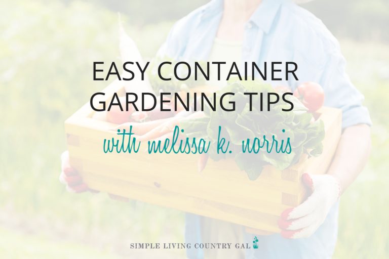 Easy Container Gardening Tips for Beginners – an Interview with Melissa K. Norris