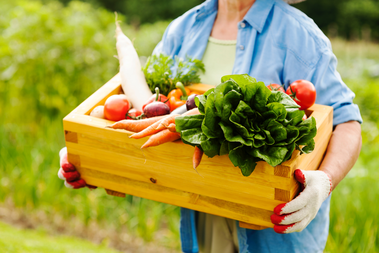 A bountiful, colorful harvest from an easy container vegetable garden. 