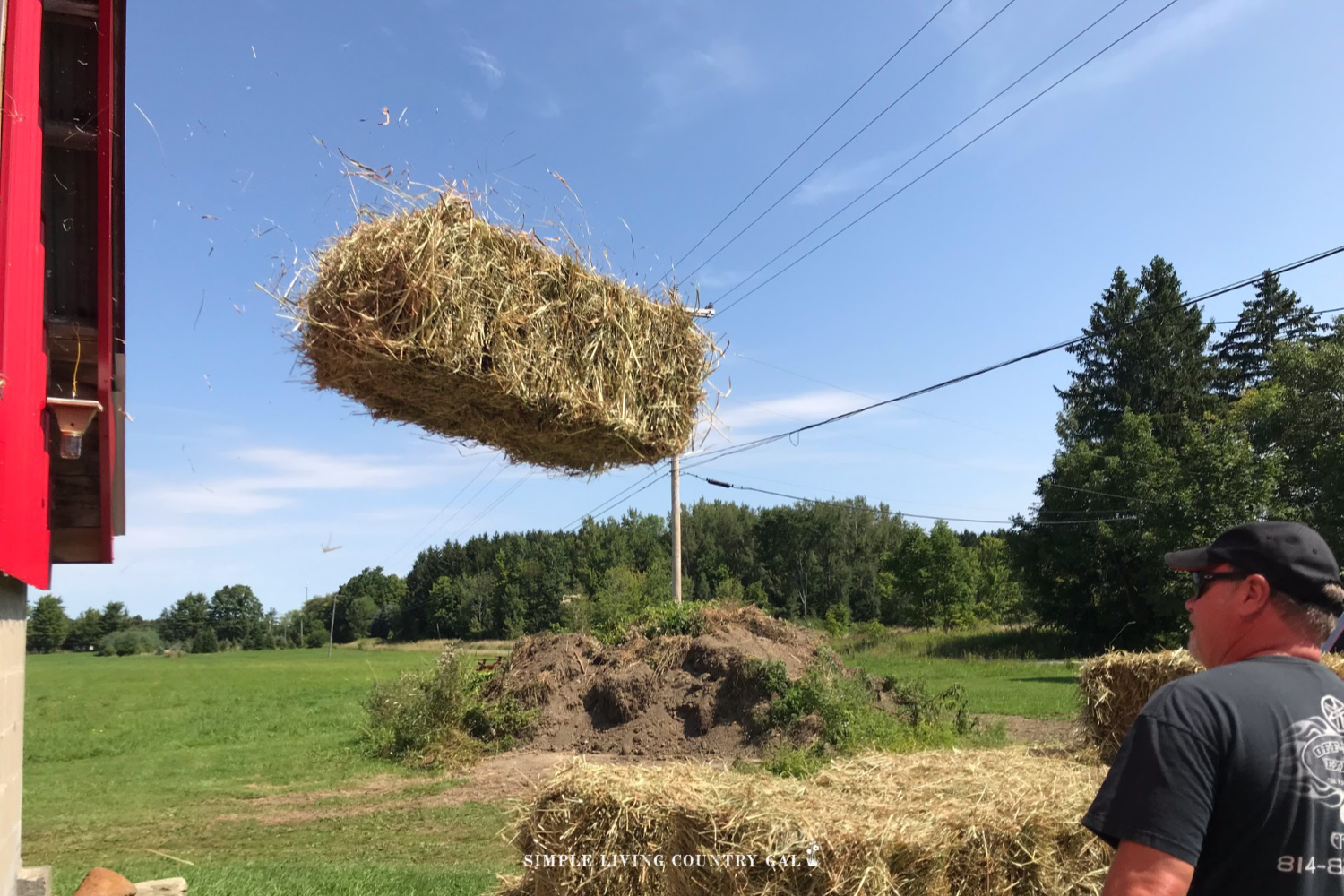 best hay for goats