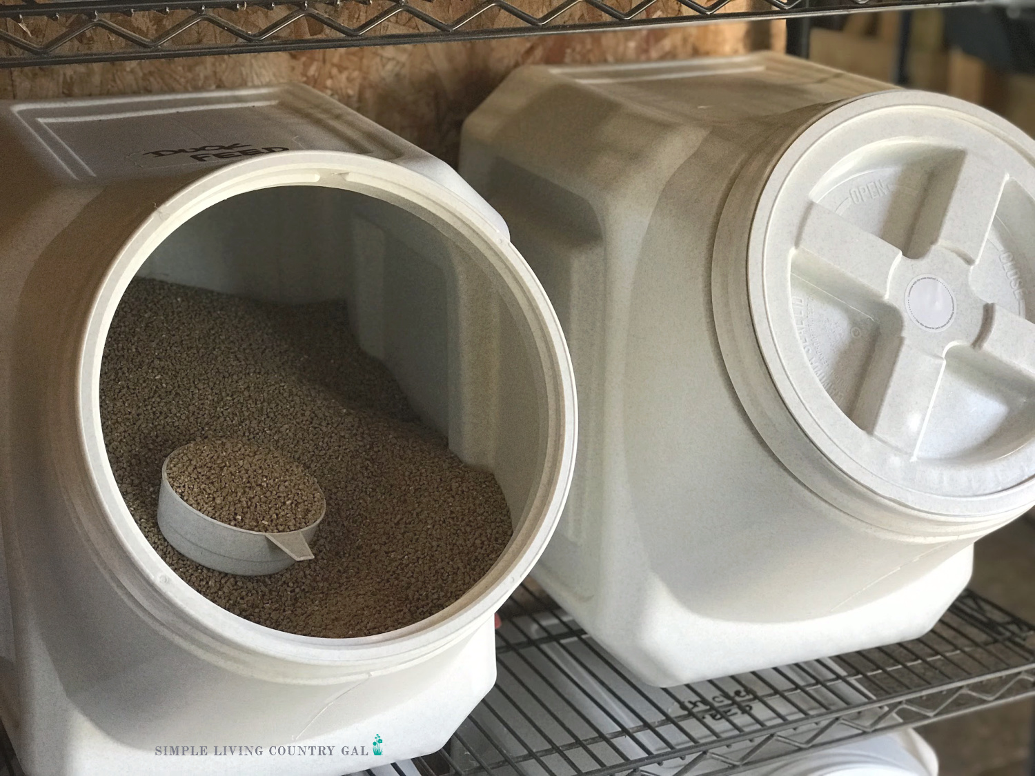 chicken feed in a livestock feed storage container