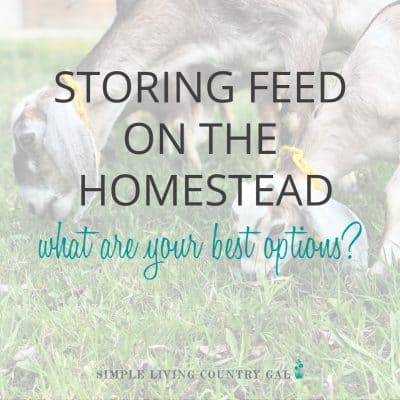 Keeping feed fresh and free of mice can be tricky on a homestead. Let's face it, any feed especially chicken feed is expensive so keeping it fresh is a big part of a hobby farm. These feed storage container ideas is a good place to start before you invest money in feed storage and set up your feed room. #feedstorage #chickenfeed #chickenfeedbin #chickencoop