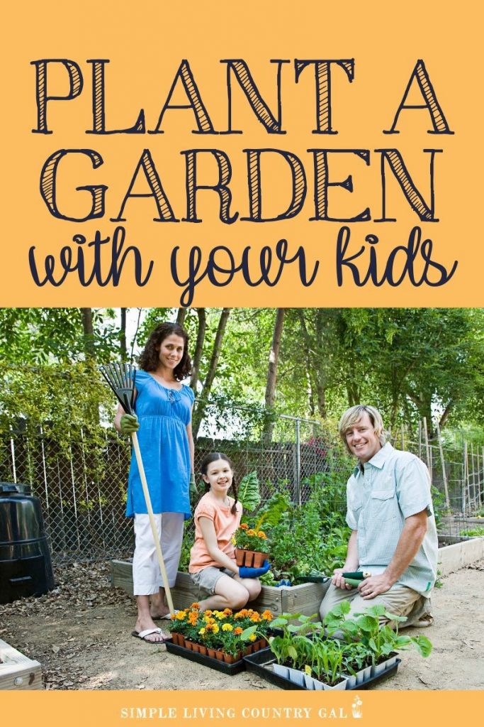 Teach your kids and grandkids to grow their food! There are many benefits of gardening with children with more grandparents helping out in the family home finding an activity they enjoy to do with young children is important. Why not try gardening? Find out how to garden with children so you can enjoy it as much as they do! #gardeningwithchildren #familygardening #gardening #patiogarden