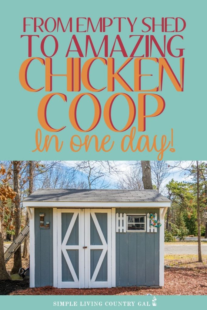 diy chicken coop in one day