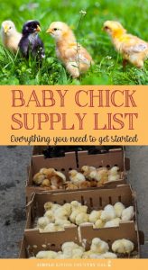 Baby Chick Supply List | Simple Living Country Gal