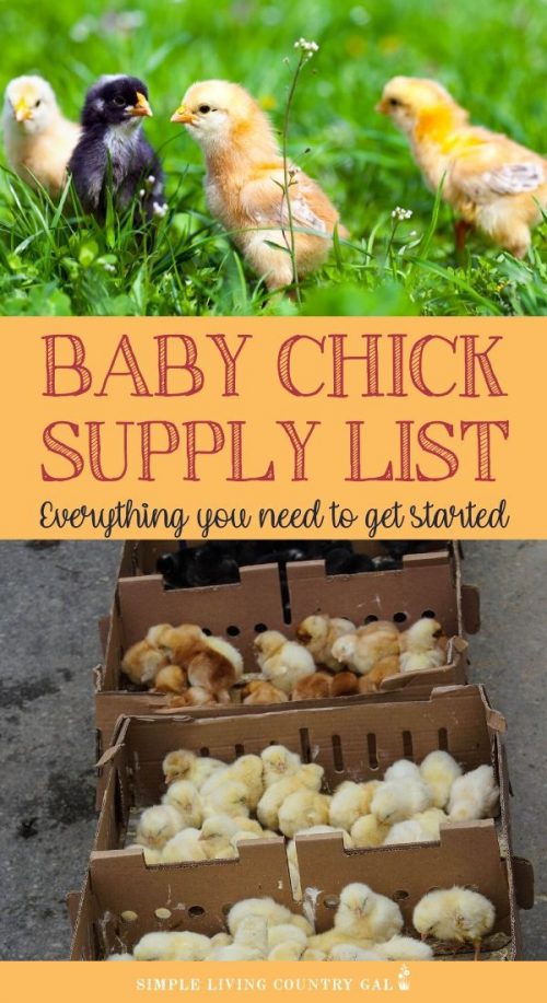 baby-chick-supply-list-simple-living-country-gal