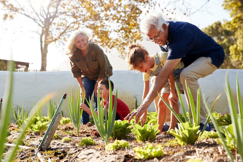 Grandparents gardening with children in a family garden