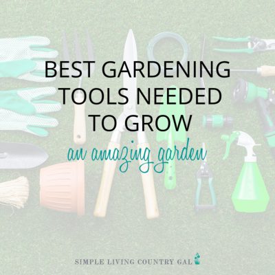 Best Gardening Tools Needed to Grow and Amazing Vegetable Garden