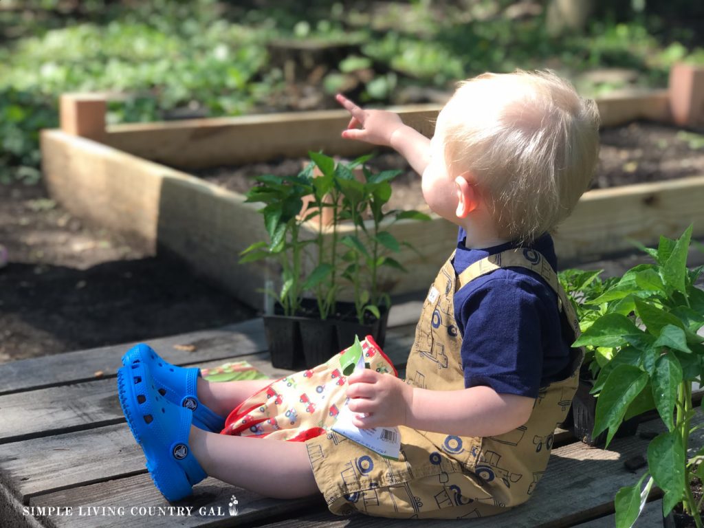 A toddler sits on a raised garden bed in a thriving family garden