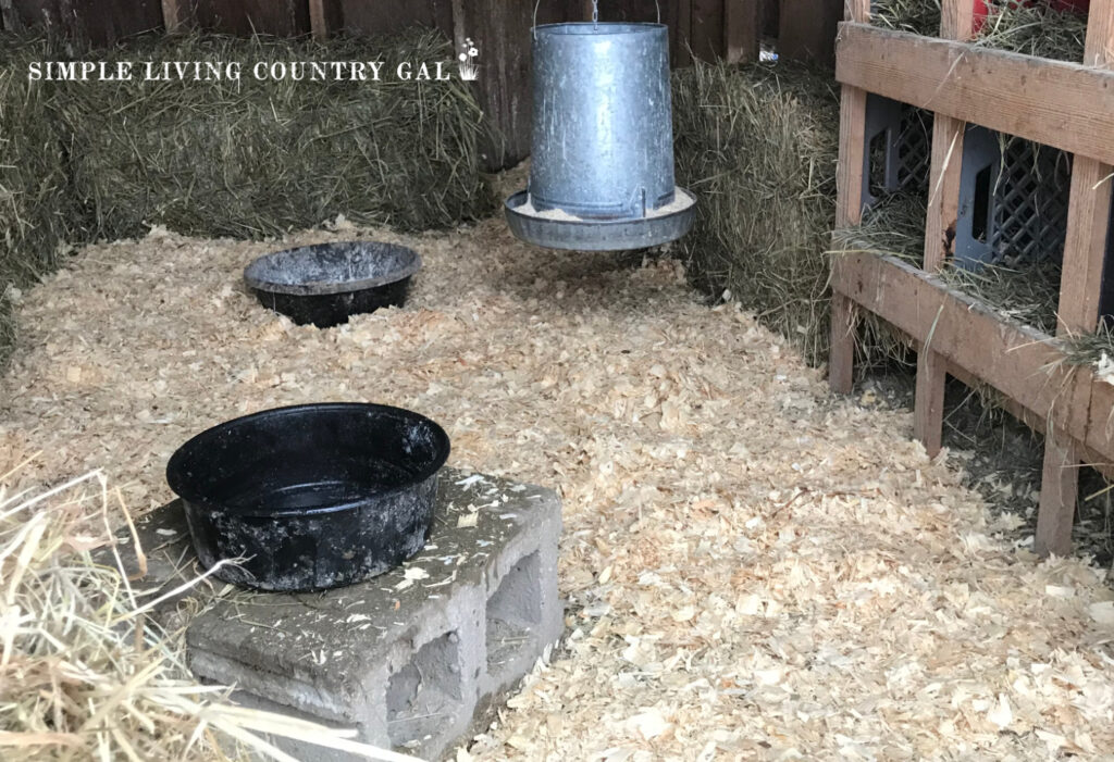 inside of a chicken coop, feeder, water bowl and nesting boxes