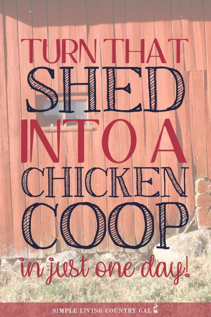 diy chicken coop