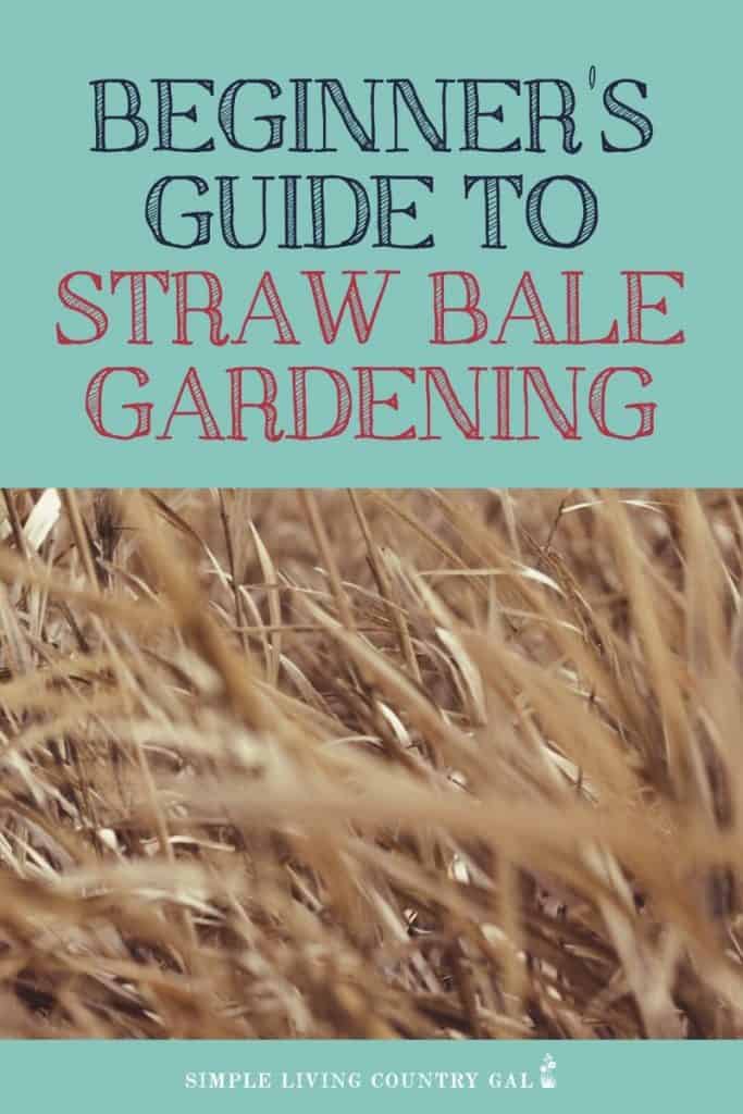 Straw Bale Gardening for Beginners | Simple Living Country Gal