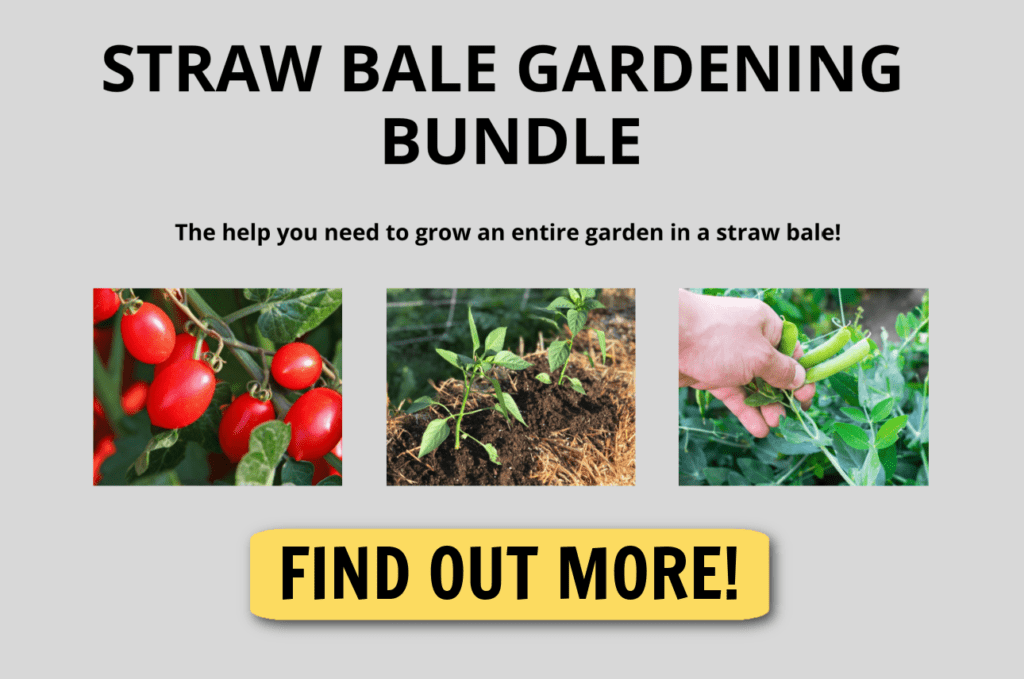 straw bale garden find out more button to click