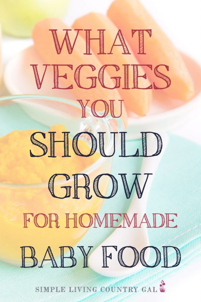 How to grow a vegetable garden for homemade baby food. How to have a vegetable baby food garden. Fresh organic vegetables for homemade baby food. Make your own baby food with a baby food garden that you can grow in your own backyard. How to grow carrots, sweet potatoes, and vegetables for a baby food garden. #babyfood #homemadebabyfood #organicbabyfood