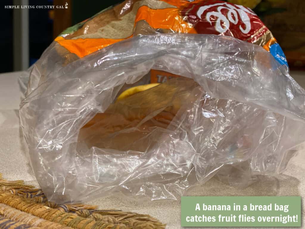 A banana inside a bread bag on a kitchen counter, used as a simple trap to catch fruit flies overnight
