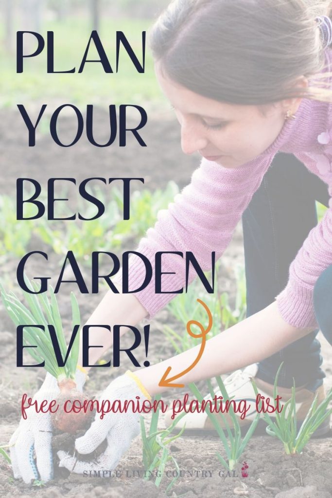 companion vegetable garden pdf
