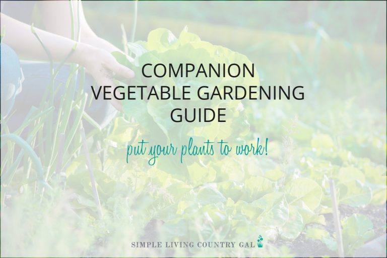 Vegetable Companion Planting Chart PDF