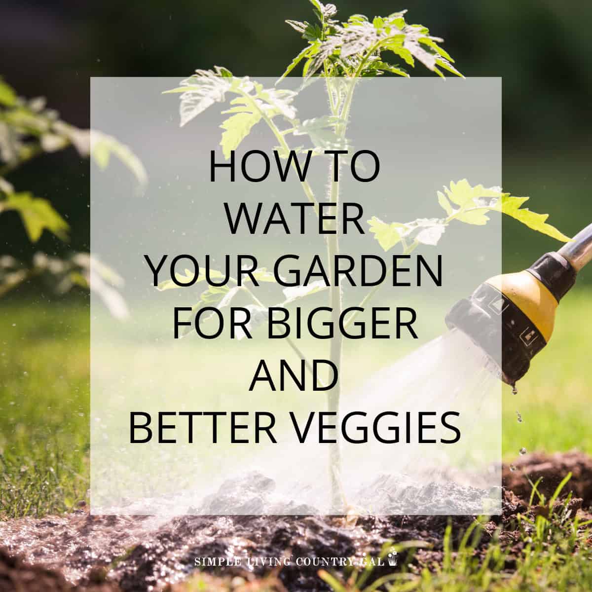 How to water your garden