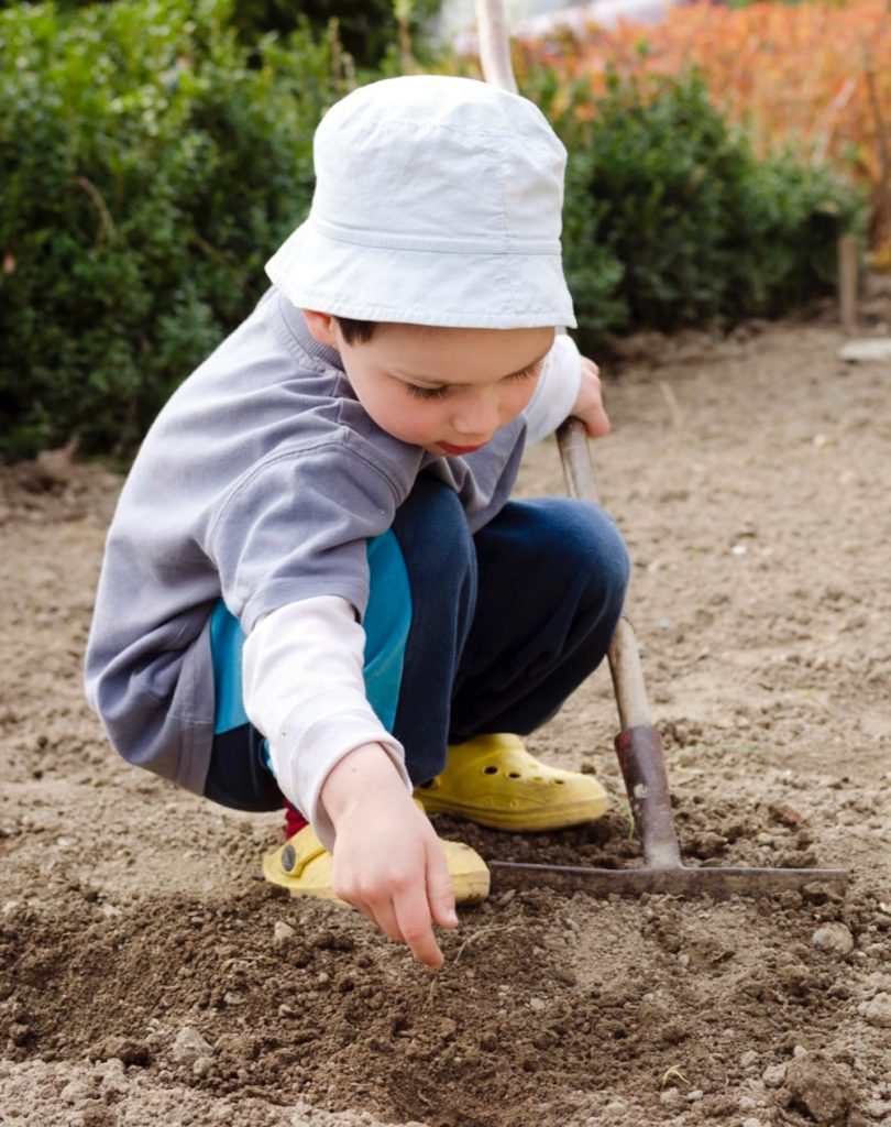 A preschooler places seeds in the tilled soil. He is learning how to garden and that adds to self-reliance. 