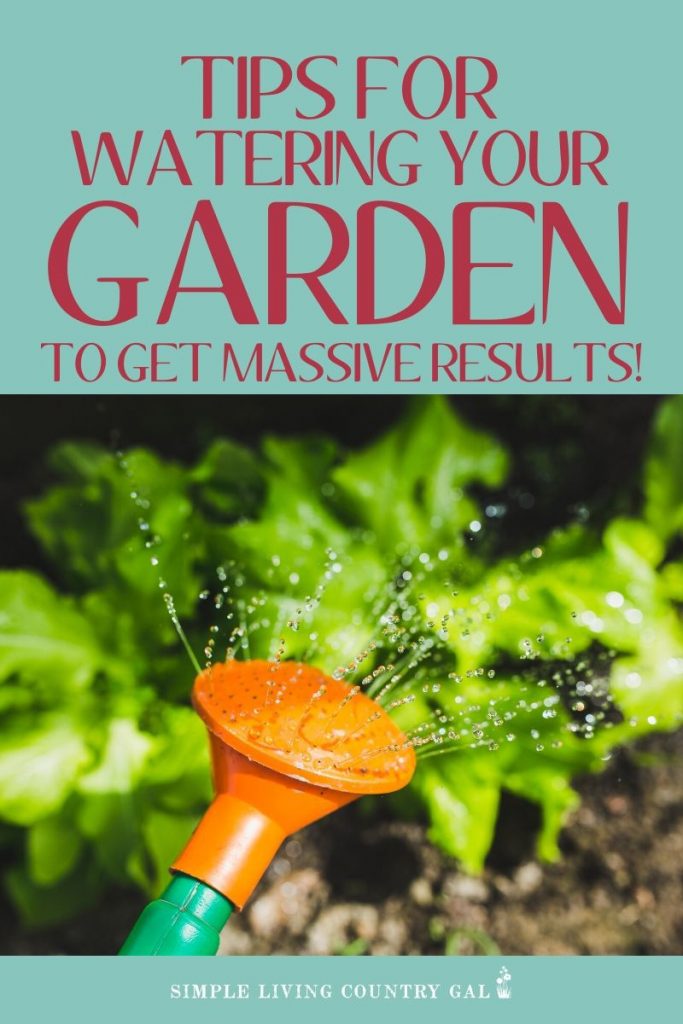 how to water your garden