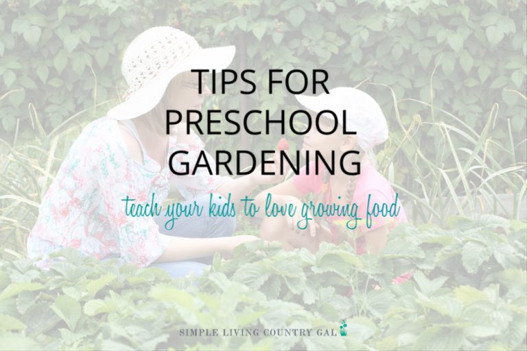 Family Gardening Tips For Preschool Gardening