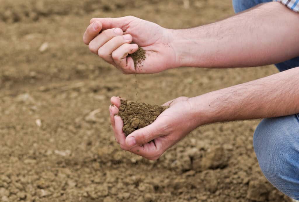 hands holding garden soil dropping from one hand to the other