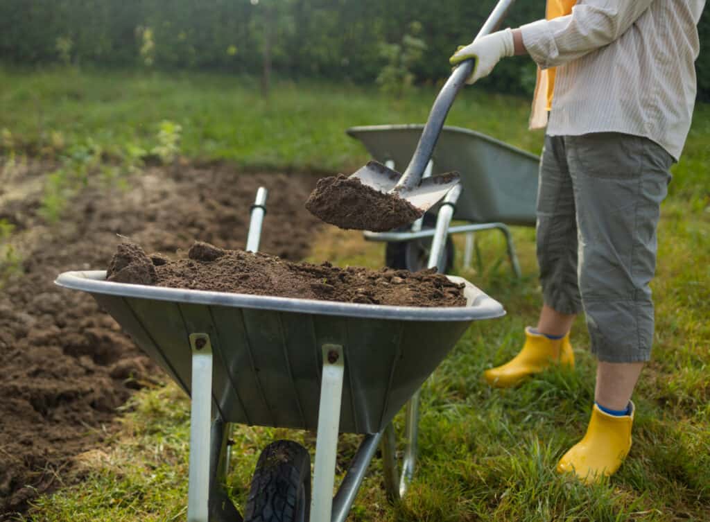 a woman using a shovel to add compost from a wheelbarrow to a garden