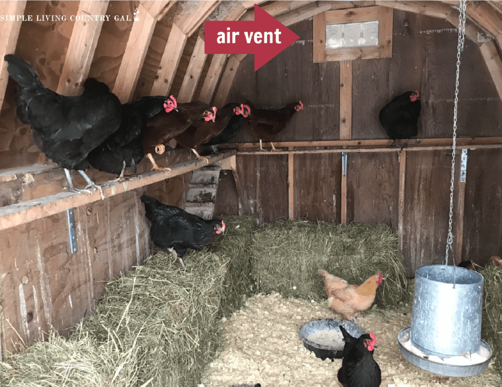 air vent chicken coop with black chickens on a roost