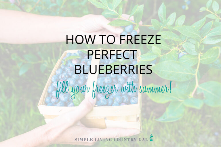 How to Freeze Perfect Blueberries Every Time