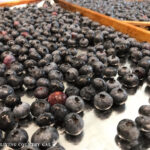 tray or frozen berries