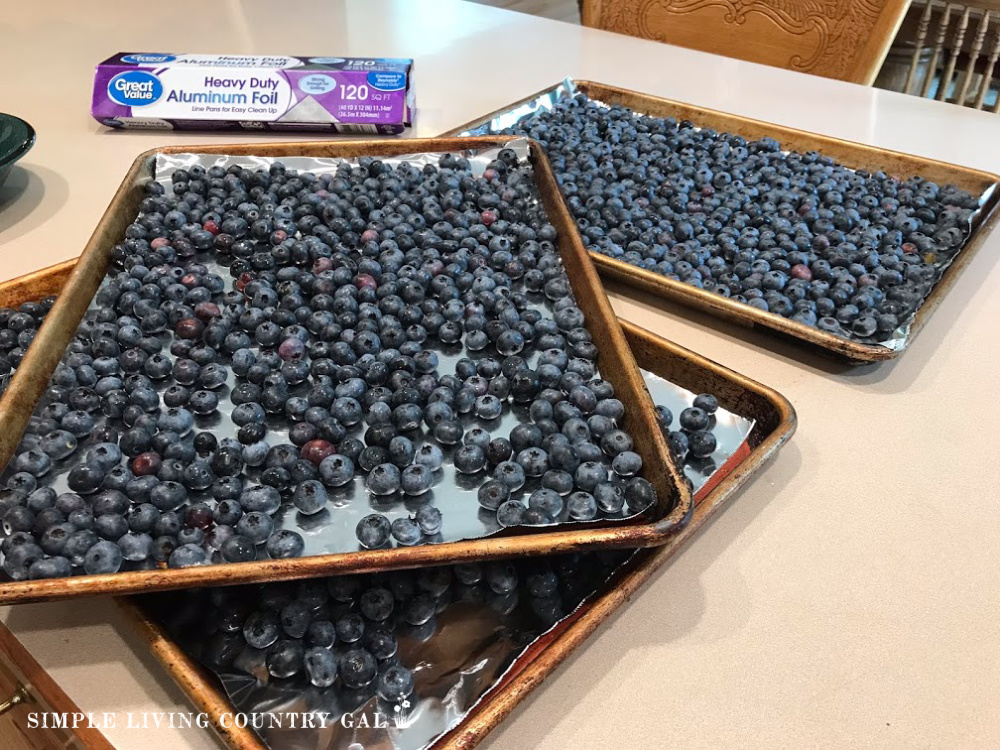 frozen blueberries on a tray