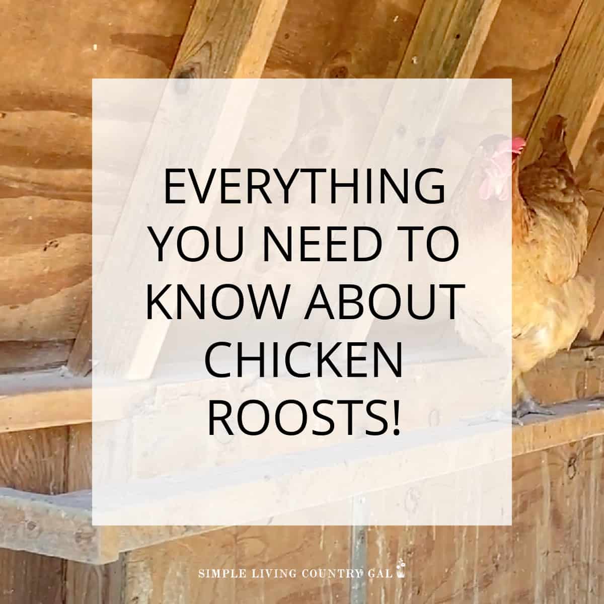 How To DIY A Roost For Your Chickens | Simple Living Country Gal